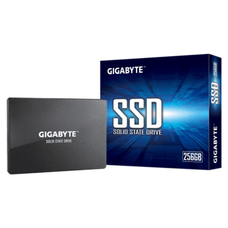 Gigabyte GP-GSTFS31256GTND 256 GB, SSD interface SATA, Write speed 500 MB/s, Read speed 520 MB/s