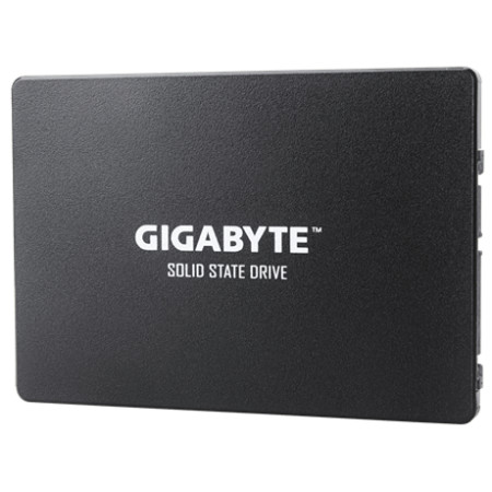 Gigabyte GP-GSTFS31256GTND 256 GB, SSD interface SATA, Write speed 500 MB/s, Read speed 520 MB/s