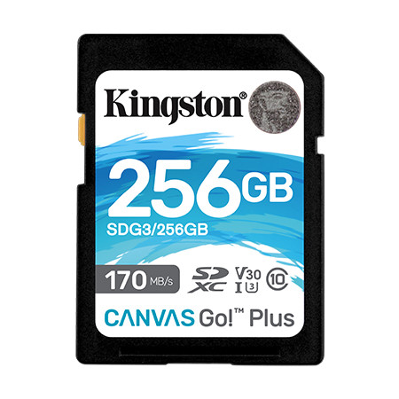 Kingston Canvas Go! Plus 256 GB, SD, Flash memory class 10