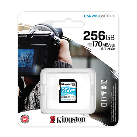 Kingston Canvas Go! Plus 256 GB, SD, Flash memory class 10