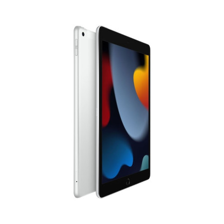 Apple iPad 10.2" 9th Gen Silver, Retina IPS LCD, A13 Bionic, 3 GB, 256 GB, 4G, Wi-Fi, 12 MP, 8 MP, Bluetooth, 4.2, iPadOS, 15, 1