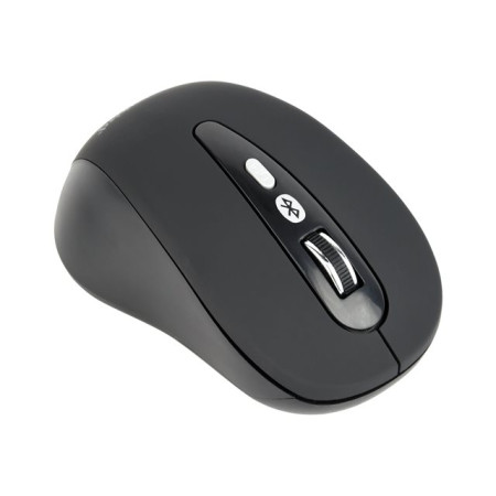 Gembird 6-button wireless optical mouse MUSW-6B-01 USB, Black