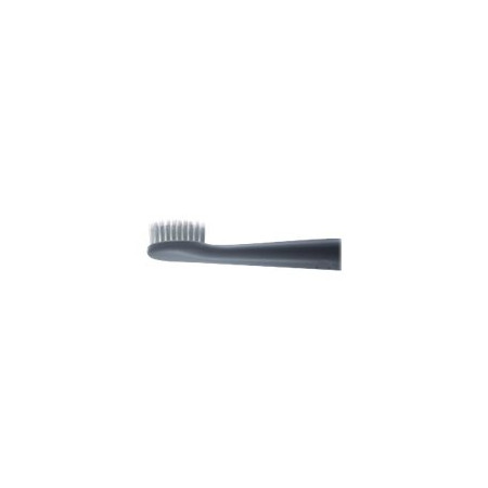 Panasonic Electric Toothbrush EW-DM81-G503 Rechargeable For adults Number of brush heads included 2 Number of teeth brushing mod