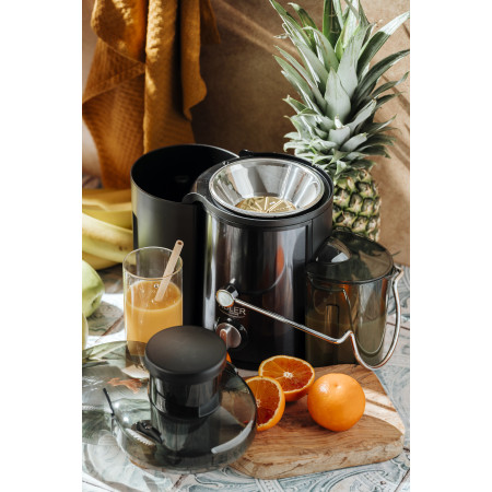 Adler AD 4132 | Type Juicer maker | Dark Inox | 800 W | Number of speeds 3