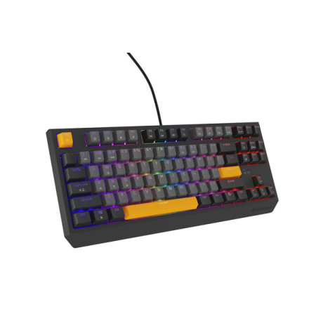 THOR 230 | Mechanical Gaming Keyboard | Wired | US | Anchor Gray Negative | USB Type-A | Outemu Red