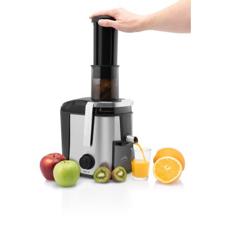 ETA Juicer Fresher II ETA503290000 Type Centrifugal Silver/Black 800 W Number of speeds 2 19000 RPM