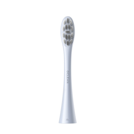 Brush Head 2 pcs Silver P1C9