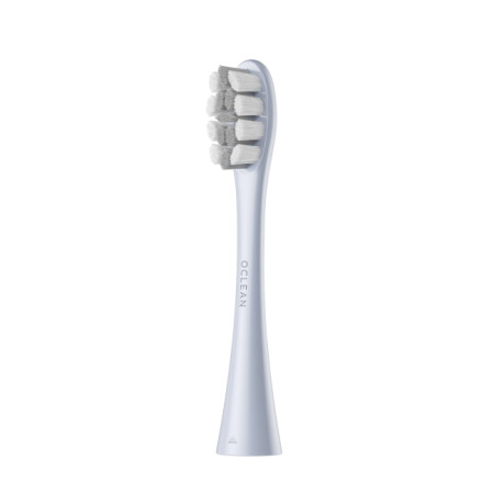 Brush Head 2 pcs Silver P1C9