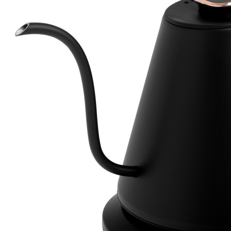 Adler Kettle | AD 1349 | Electric | 1100 W | 1 L | Stainless steel | 360 rotational base | Black/Gold