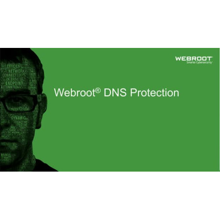 Webroot | DNS Protection with GSM Console | 1 year(s) | License quantity 10-99 user(s)