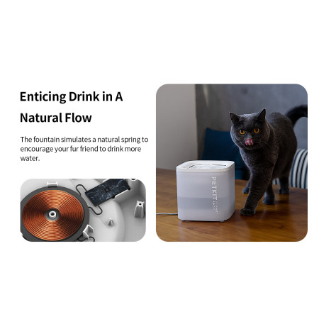 PETKIT | Smart Pet Drinking Fountain | Eversweet Solo SE | Capacity 1.8 L | Filtering | Material Plastic | White