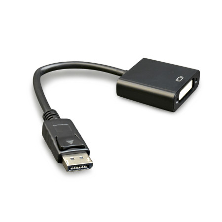 Cablexpert | Adapter Cable | DP to DVI-D | 0.1 m