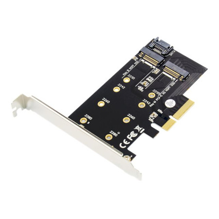 Digitus | M.2 NGFF / NVMe SSD PCI Express 3.0 (x4) Add-On Card | DS-33170