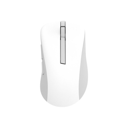 Asus Wireless Mouse | MD102 | Mouse | 2.4 GHz, Bluetooth | White